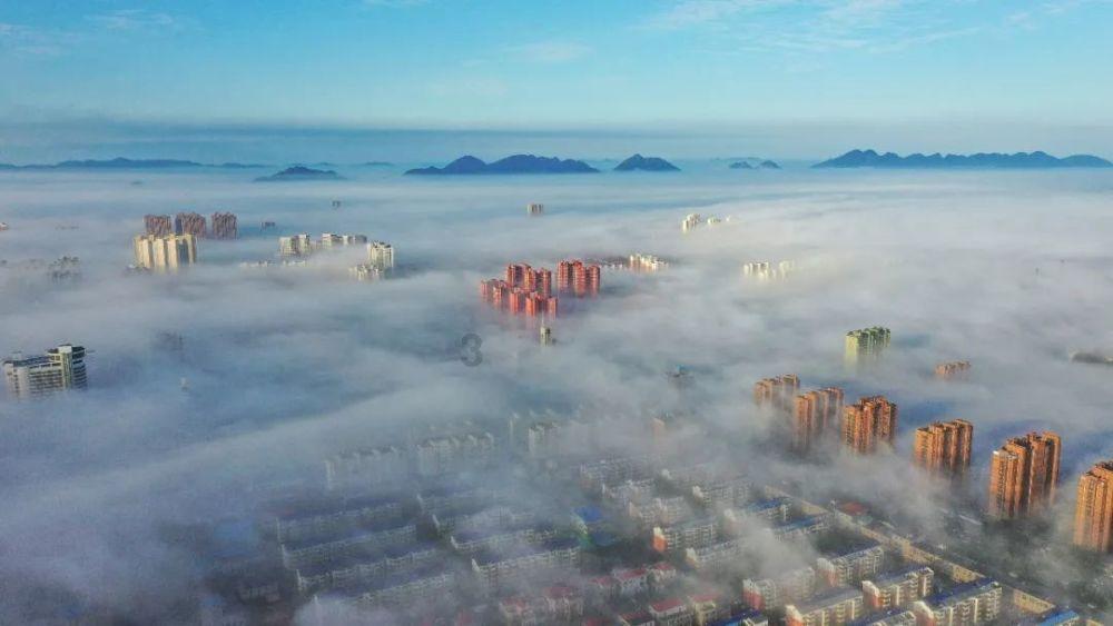 沪江开心词场