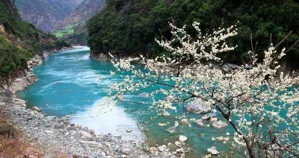 沪江开心词场